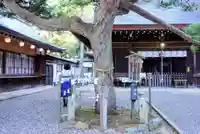 尾張冨士大宮浅間神社の自然