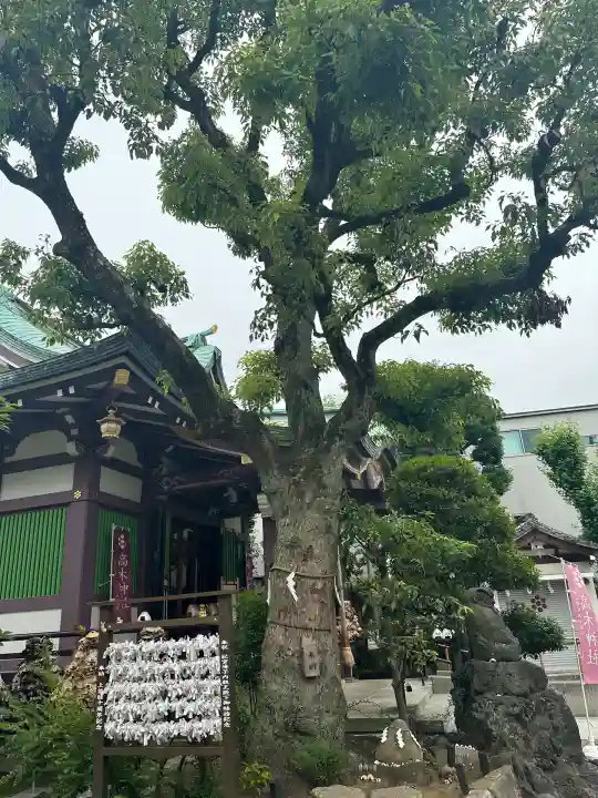 高木神社(東京都)