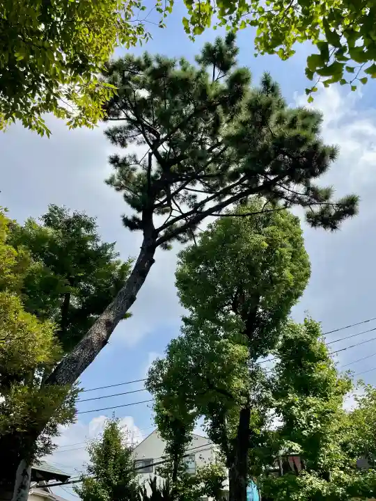 神明神社(神奈川県)