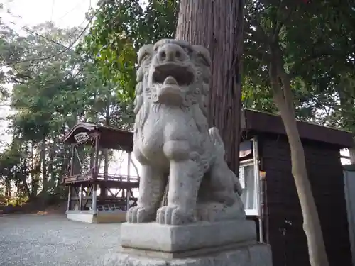 金井八幡神社の狛犬