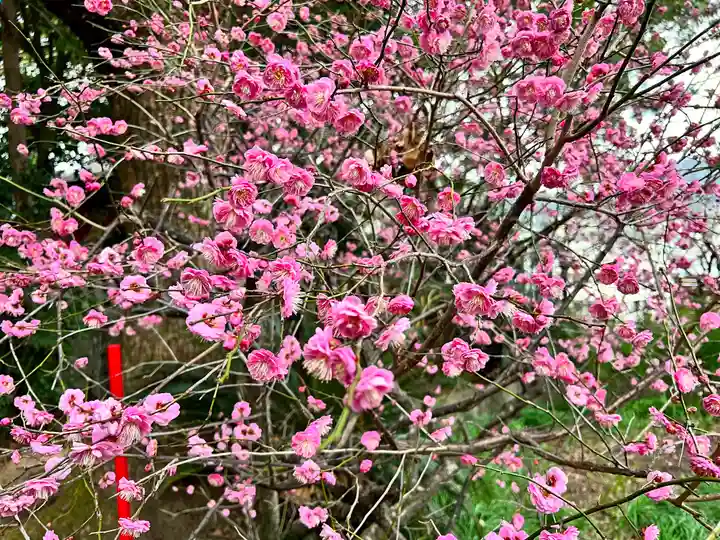 松森天満宮(長崎県)