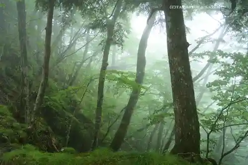 三峯神社奥宮(埼玉県)