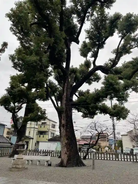 長曽根神社の自然