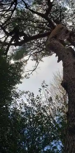 下高井戸八幡神社(東京都)