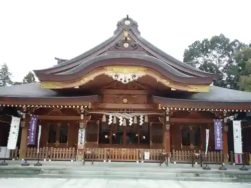 亀ケ池八幡宮の本殿・本堂