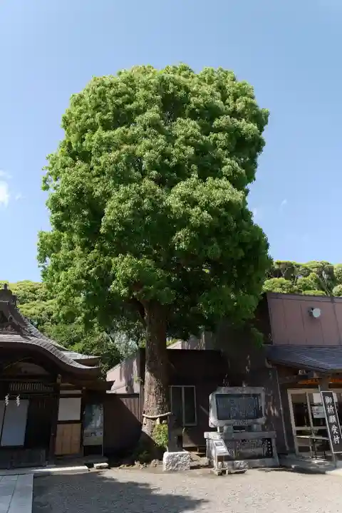 酒列磯前神社(茨城県)