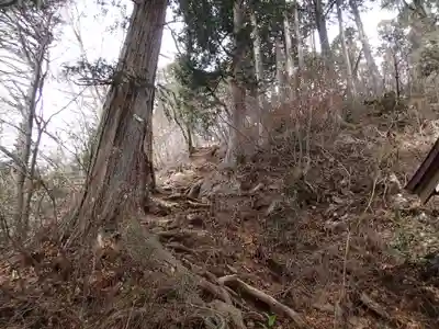 武蔵御嶽神社奥の院の自然