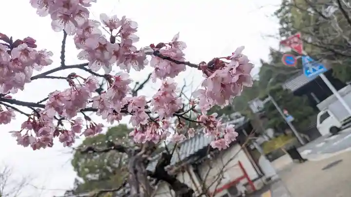 知恩院(京都府)