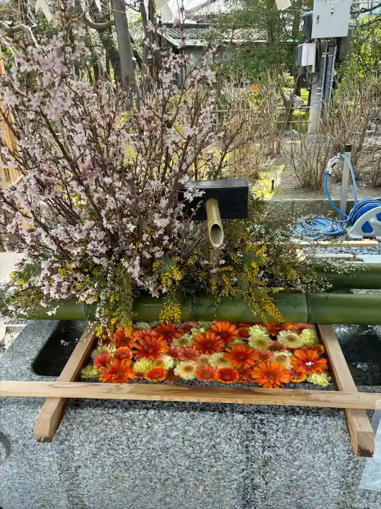 白山神社(新潟県)