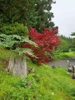 八幡薬師相殿神社の自然