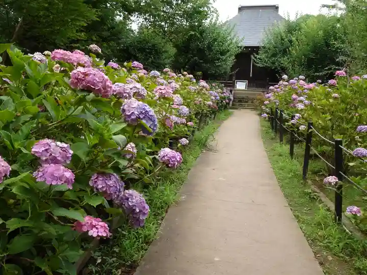 本土寺のその他建物