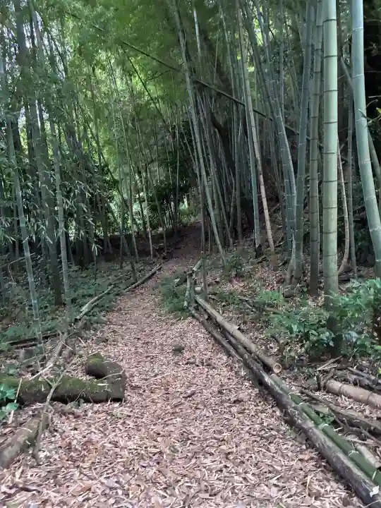 八幡神社(岐阜県)