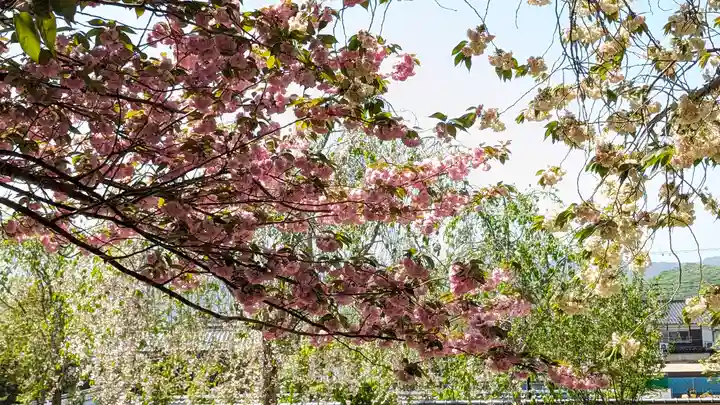 圓光寺(京都府)