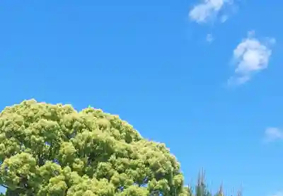 刺田比古神社(和歌山県)