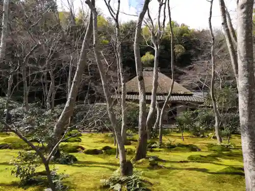 祇王寺の庭園