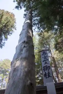 諏訪大社下社春宮のその他建物
