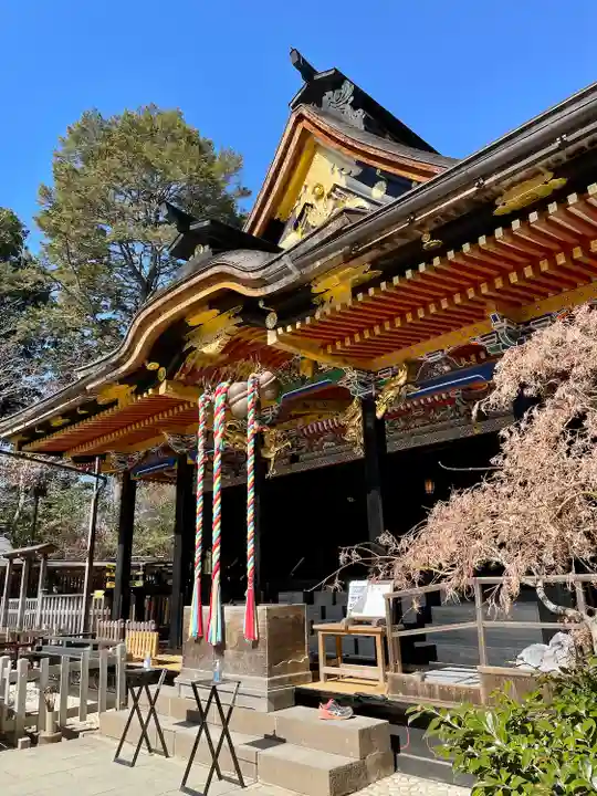 大崎八幡宮の本殿・本堂