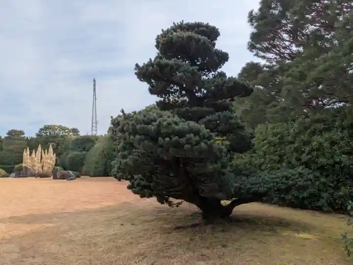 城南宮(京都府)