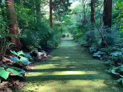 柞原八幡宮(大分県)