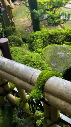 當麻寺西南院の自然