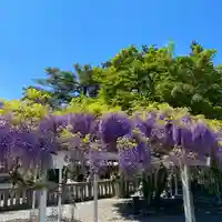 白鷺神社の庭園