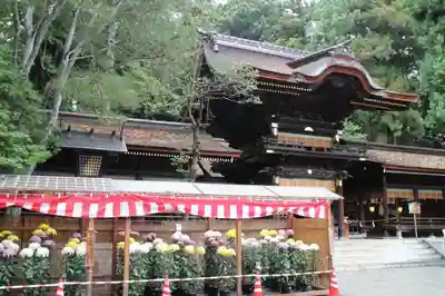 諏訪大社下社秋宮の本殿・本堂