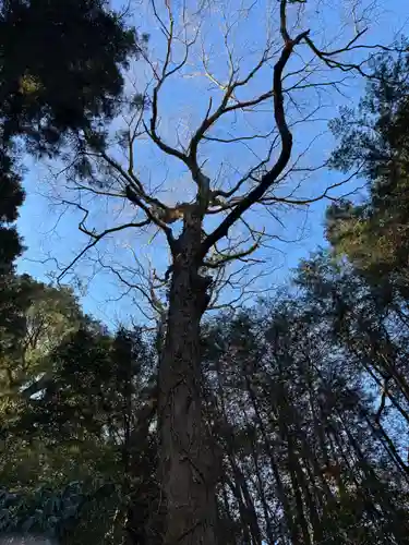 鶴島神明社(山梨県)