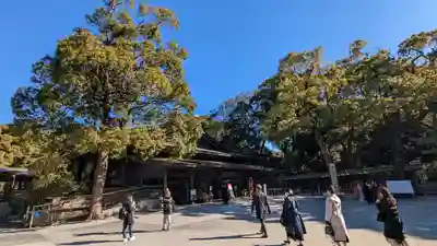 明治神宮(東京都)