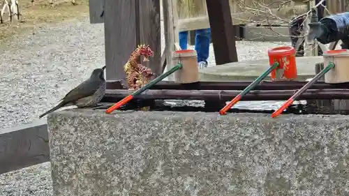 弘道館鹿島神社(茨城県)