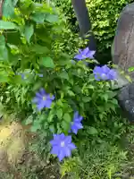 天台宗 長窪山 正覚寺の自然