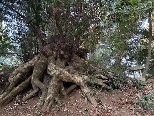木内大神(千葉県)