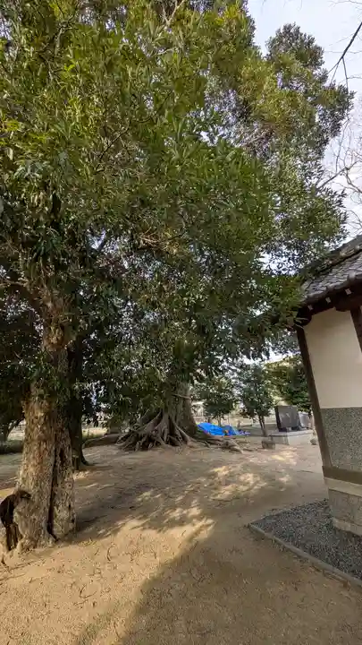五字神社(大阪府)
