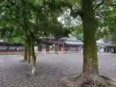 真清田神社の建物その他