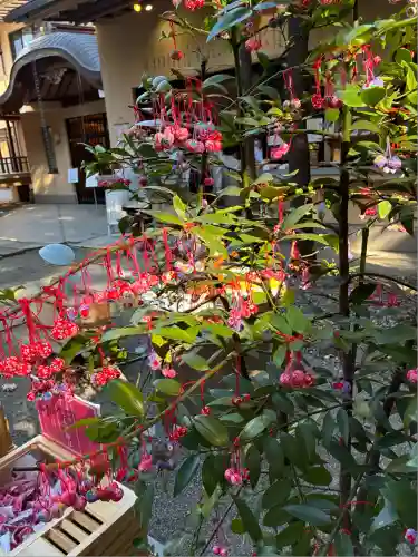 赤坂氷川神社(東京都)