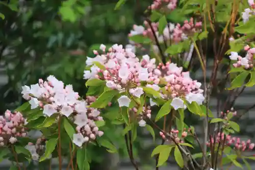 大鏑神社の庭園