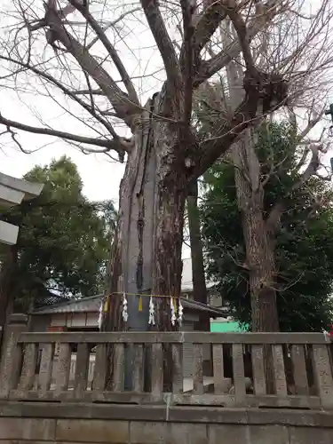稲荷神社(東京都)