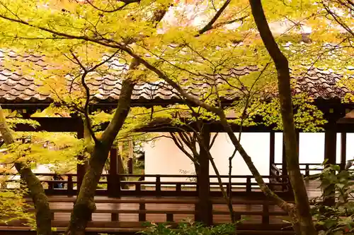 禅林寺（永観堂）(京都府)
