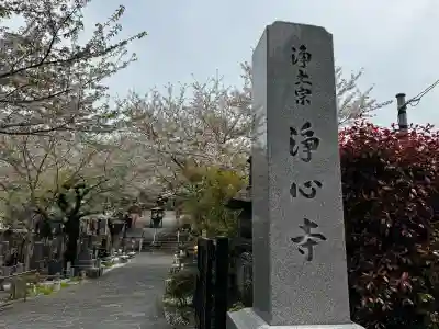 浄心寺の{uncategorized: "未分類", other: "その他", undefined: "問題あり", building: "その他建物", grave: "お墓", sacred_gate: "鳥居", guardian: "狛犬", statue: "像", buddha: "仏像", history: "歴史", nature: "自然", garden: "庭園", animal: "動物", pagoda: "塔", temizu: "手水舎", mountain_gate: "山門・神門", sanctuary: "本殿・本堂", subordinate: "末社・摂社", art: "芸術", scenery: "景色", jizo: "地蔵", ema: "絵馬", goshuin: "御朱印", omikuji: "おみくじ", items: "授与品その他", amulet: "お守り", goshuincho: "御朱印帳", eats: "食事", festival: "お祭り", votive_dance: "神楽", shichigosan: "七五三参", wedding: "結婚式", experience: "体験その他", initially: "初詣", around: "周辺", anti_infection: "感染症対策"}