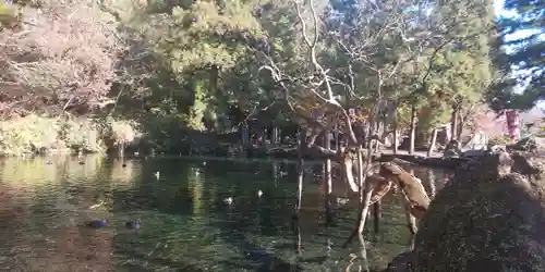 涌釜神社の庭園