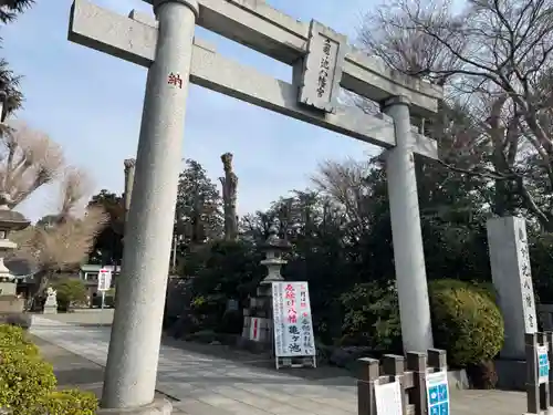 亀ケ池八幡宮の鳥居