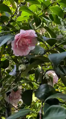 宝蔵寺(京都府)