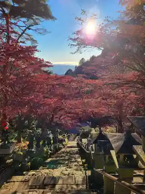 大山寺(神奈川県)