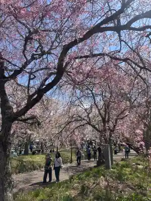 徳佐八幡宮(山口県)