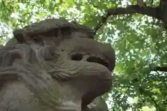 鷲宮神社の狛犬