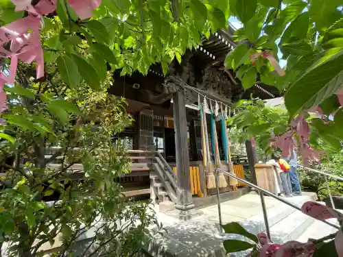 桜神宮の{uncategorized: "未分類", other: "その他", undefined: "問題あり", building: "その他建物", grave: "お墓", sacred_gate: "鳥居", guardian: "狛犬", statue: "像", buddha: "仏像", history: "歴史", nature: "自然", garden: "庭園", animal: "動物", pagoda: "塔", temizu: "手水舎", mountain_gate: "山門・神門", sanctuary: "本殿・本堂", subordinate: "末社・摂社", art: "芸術", scenery: "景色", jizo: "地蔵", ema: "絵馬", goshuin: "御朱印", omikuji: "おみくじ", items: "授与品その他", amulet: "お守り", goshuincho: "御朱印帳", eats: "食事", festival: "お祭り", votive_dance: "神楽", shichigosan: "七五三参", wedding: "結婚式", experience: "体験その他", initially: "初詣", around: "周辺", anti_infection: "感染症対策"}