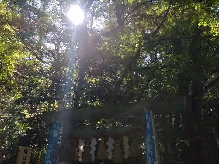 椿大神社(三重県)