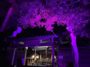 立志神社(滋賀県)(2023年10月21日(土) 15時43分47秒投稿)