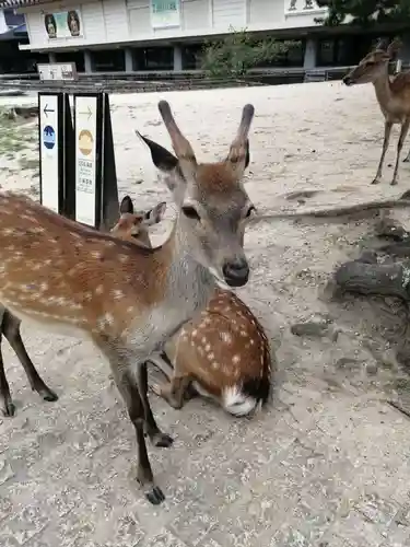 五劫院(奈良県)