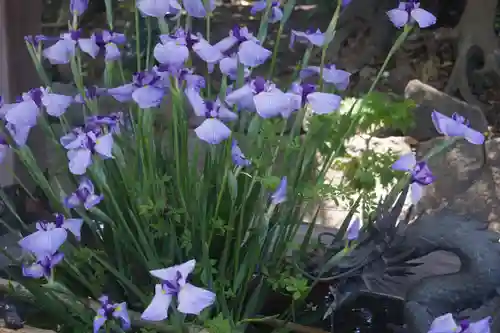 東海市熊野神社の手水舎