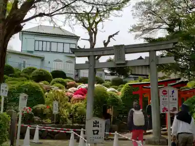 根津神社の{uncategorized: "未分類", other: "その他", undefined: "問題あり", building: "その他建物", grave: "お墓", sacred_gate: "鳥居", guardian: "狛犬", statue: "像", buddha: "仏像", history: "歴史", nature: "自然", garden: "庭園", animal: "動物", pagoda: "塔", temizu: "手水舎", mountain_gate: "山門・神門", sanctuary: "本殿・本堂", subordinate: "末社・摂社", art: "芸術", scenery: "景色", jizo: "地蔵", ema: "絵馬", goshuin: "御朱印", omikuji: "おみくじ", items: "授与品その他", amulet: "お守り", goshuincho: "御朱印帳", eats: "食事", festival: "お祭り", votive_dance: "神楽", shichigosan: "七五三参", wedding: "結婚式", experience: "体験その他", initially: "初詣", around: "周辺", anti_infection: "感染症対策"}